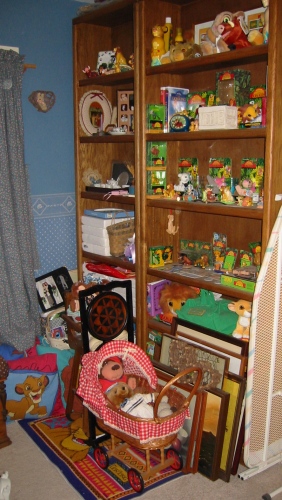 bookshelves.jpg