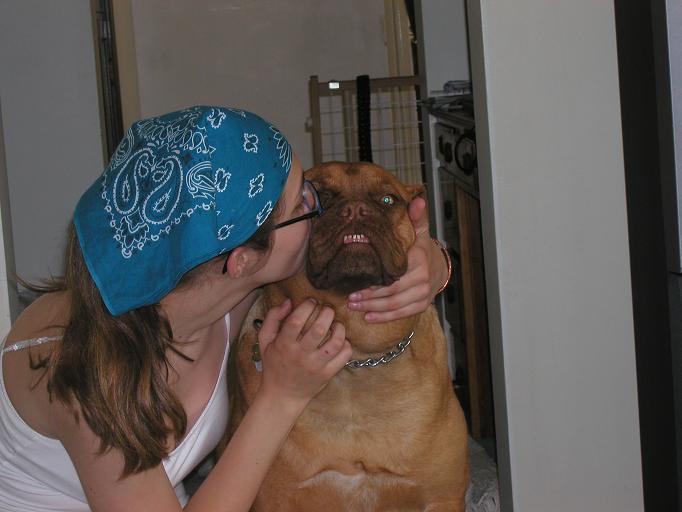 kiss puppy.JPG
