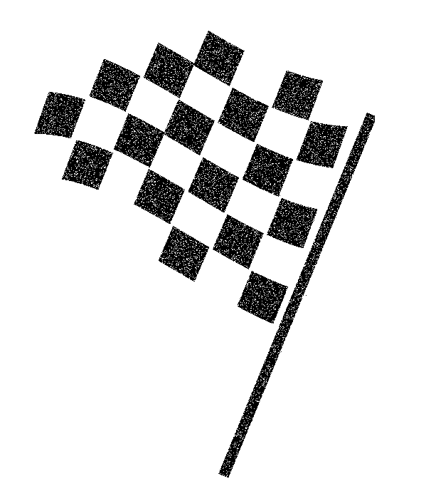 Checkered Flag.gif