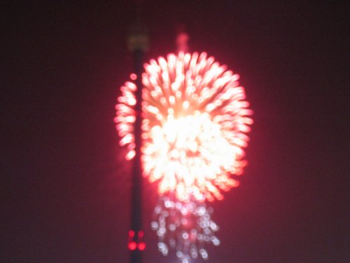 IMG_1256.jpg
