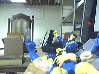 Picture 63.jpg