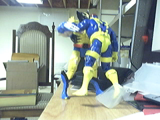 Picture 61.jpg