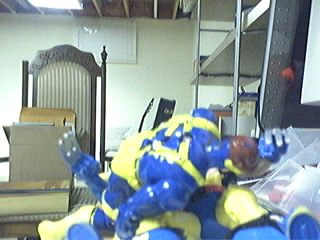 Picture 66.jpg