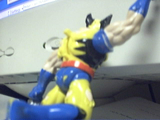 Picture 77.jpg